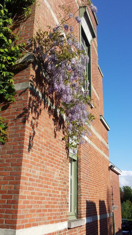 B&B Fine Fleur Bruges Extérieur photo