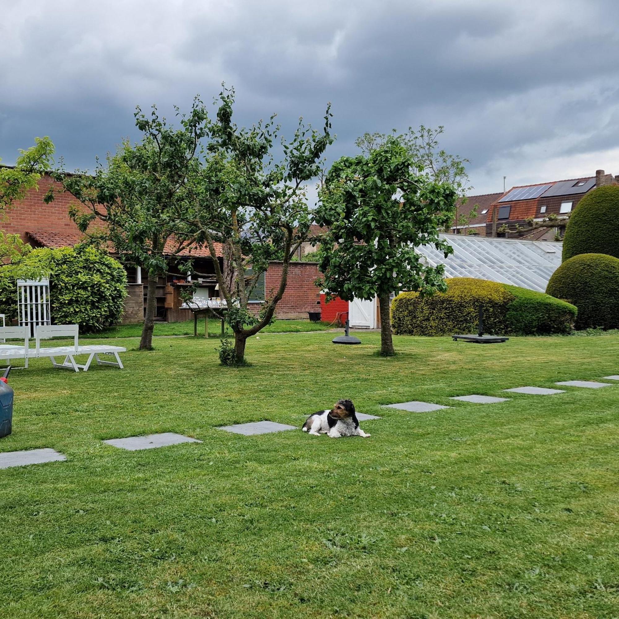 B&B Fine Fleur Bruges Extérieur photo